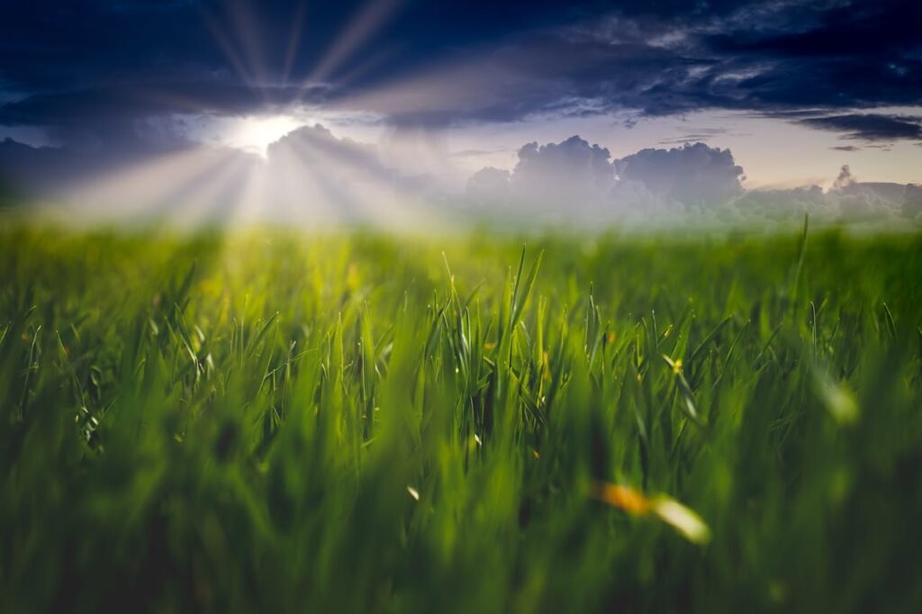 A breathtaking view of sunrays illuminating a lush green field under a dramatic cloudy sky.
