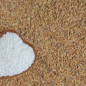 Nalgonda Premium Paddy Seeds (Sona Masuri)